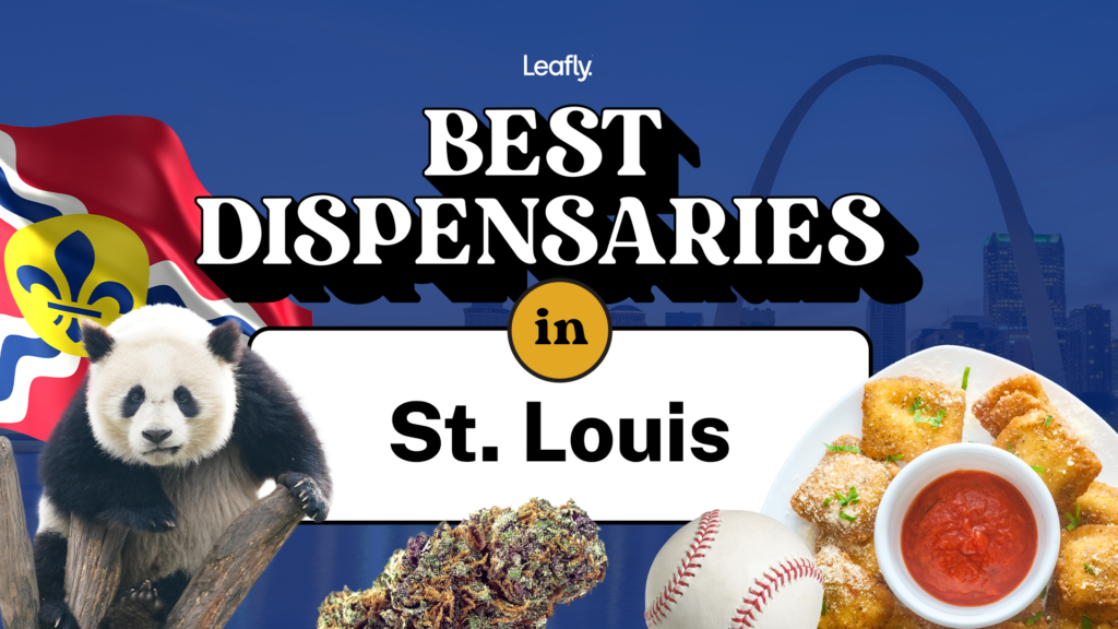 Best Recreational & Medical Dispensaries in St Louis 2024