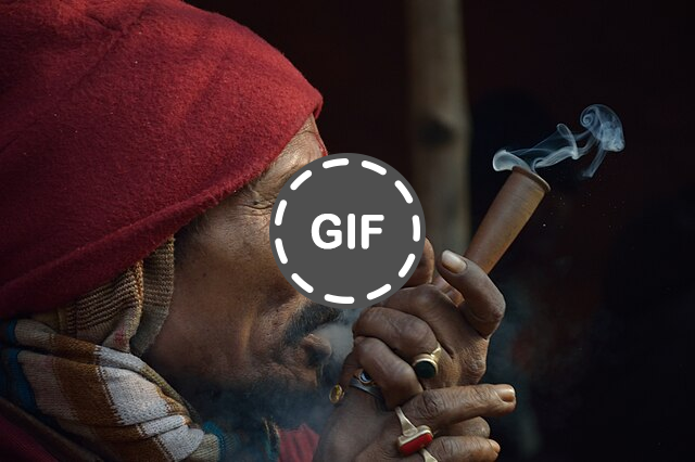 Forays Into the Indian Cannabis Underground